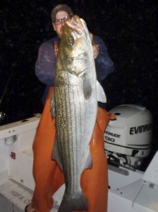 bigbass